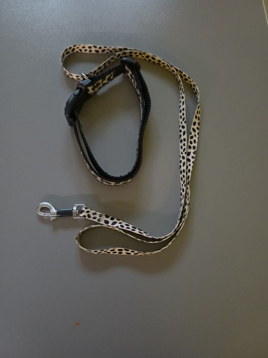 Повідець для собаки