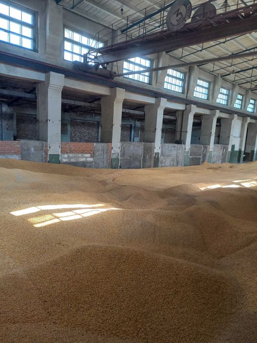 Производственый цех-мастерская