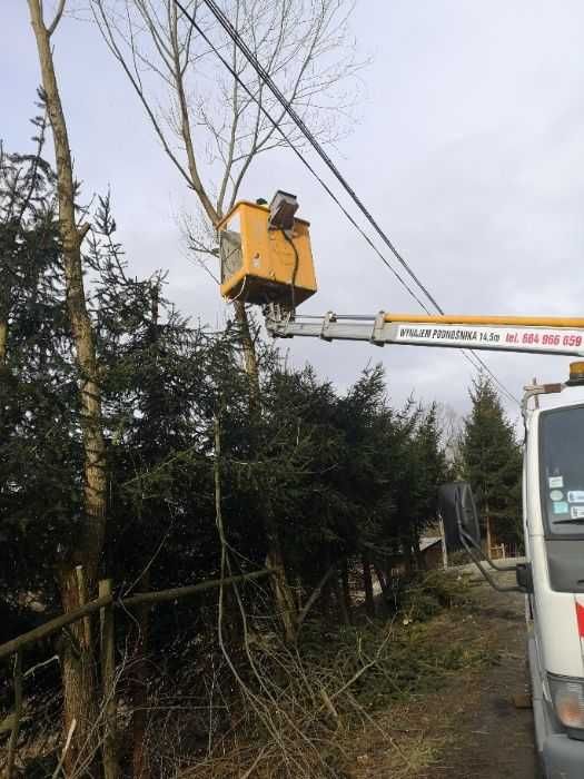 Wynajem podnośników koszowych do 22metrów Rębak do gałęzi