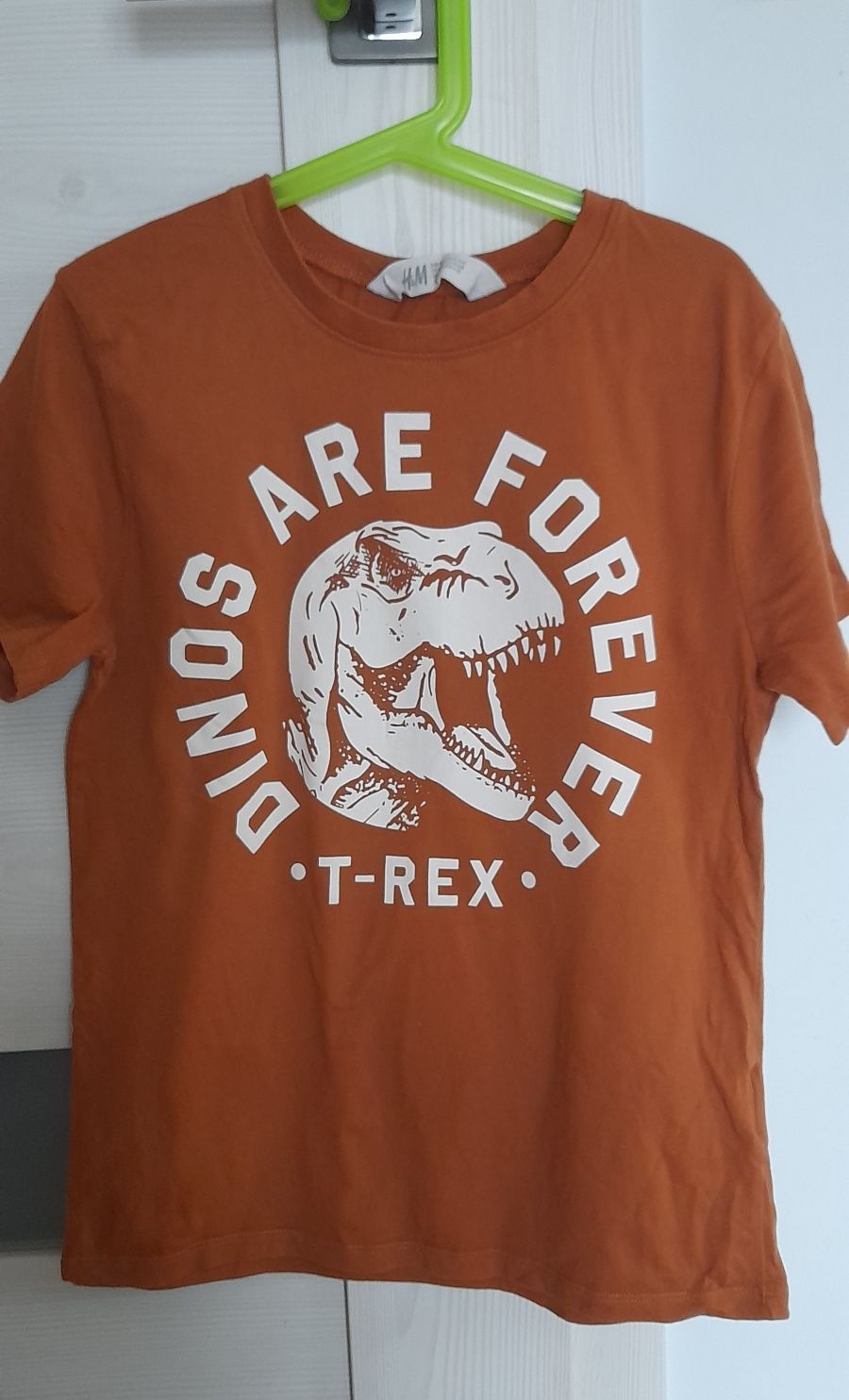 Koszulka t-shirt H&M 134-140cm, 10 lat dinozaur T-Rex