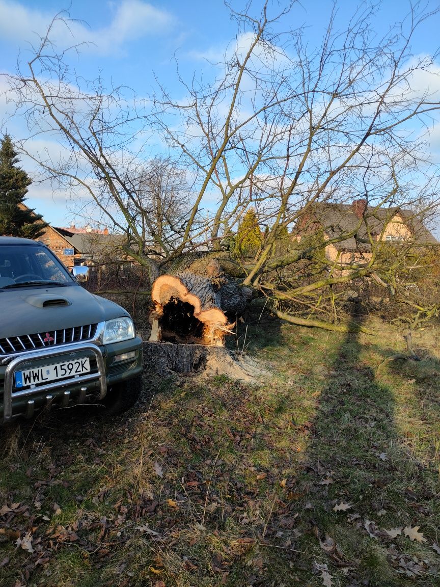 Wycinka drzew rębak koszenie karczowanie porządki minikoparka frezarka