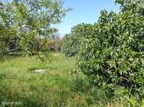 Terreno  para venda