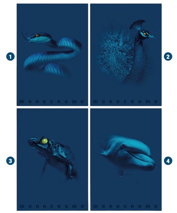 Segregator A4 Monocromo Blue do szkoły i biura