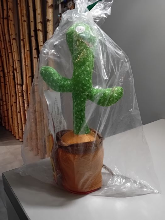 Gadający kaktus śpiewa tańczy powtarza wszystko zabawka Nowa