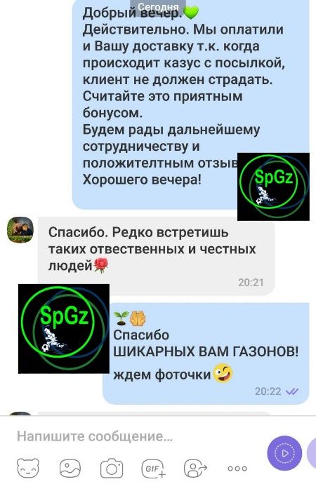 Газон семена Спорт MINI самая низкая изумрудная крепкая трава газонная