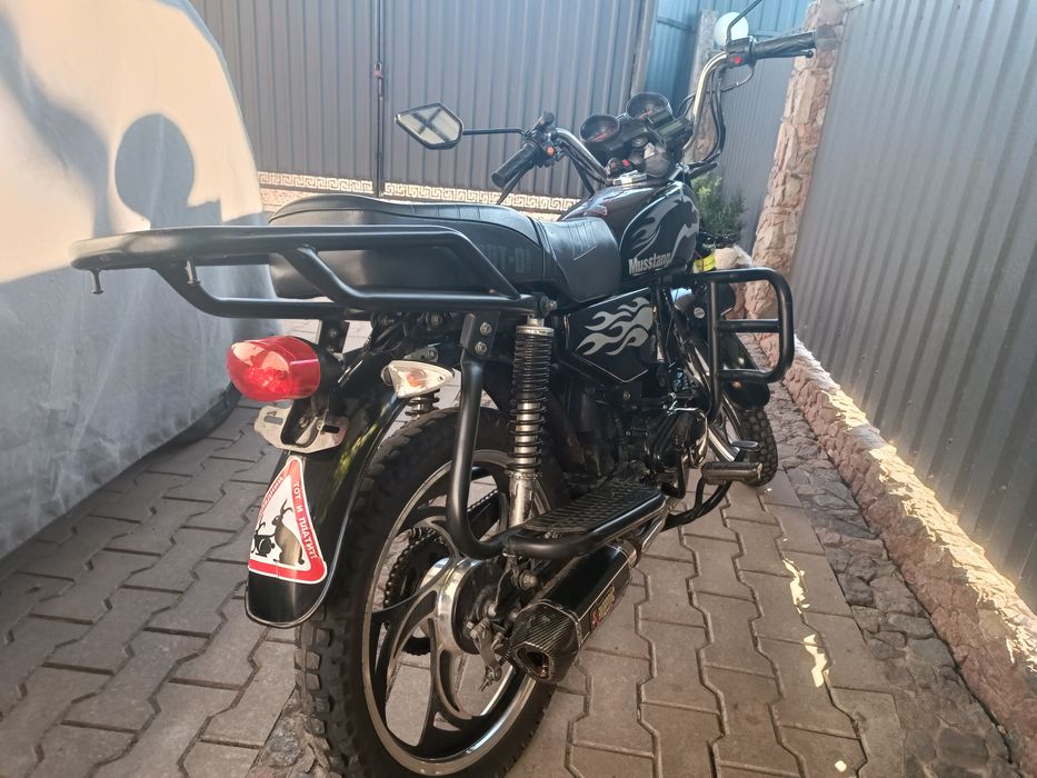 Мустанг альфа 125