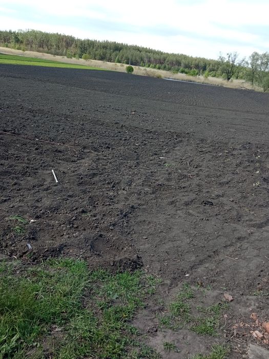 Продам будинок, з велик,учасником,,ціна дог