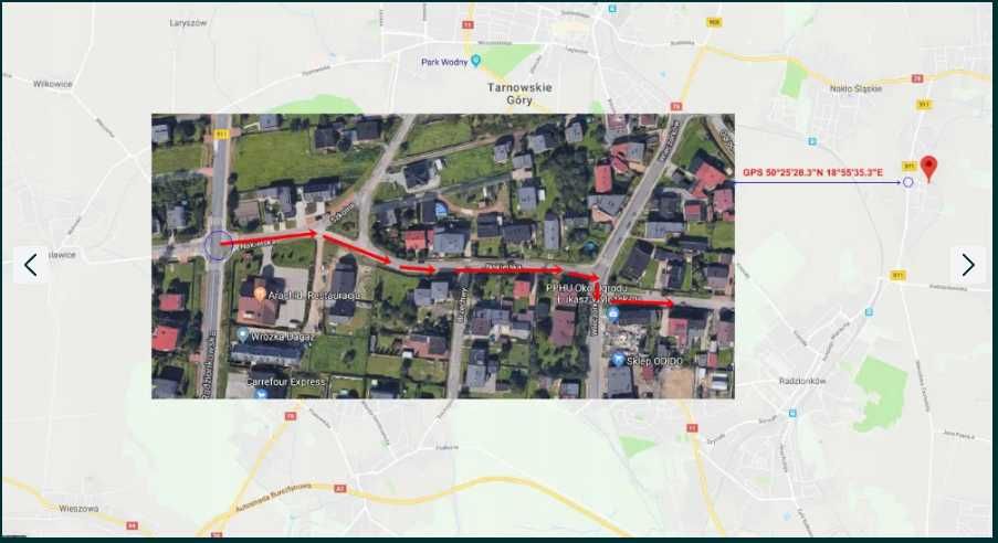 Zestaw 8 sztuk Jałowiec płożący Golden Carpet + Wiltonii