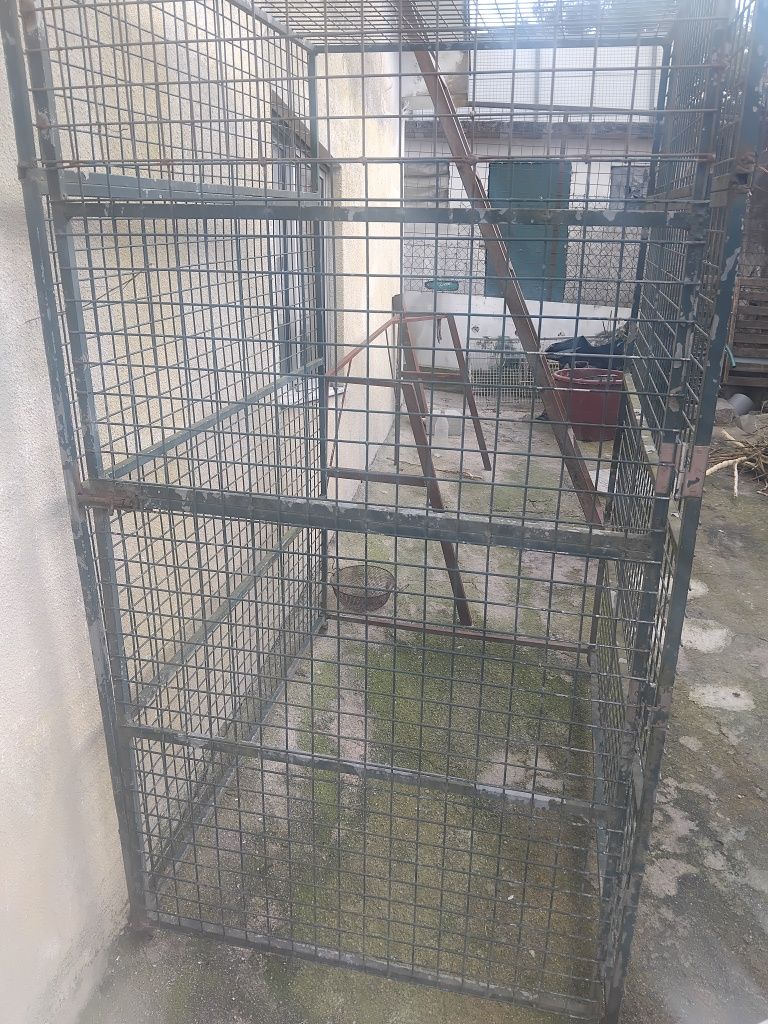 Gaiola,ou jaula,para aves e animais  domésticos.