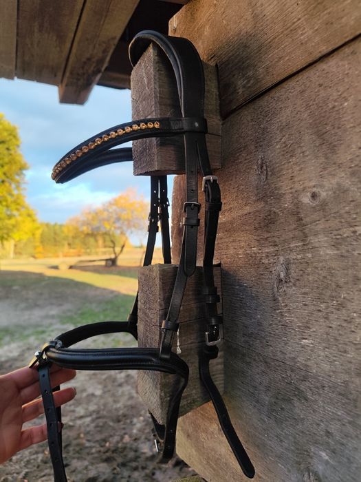 Ogłowia pony, cob i full