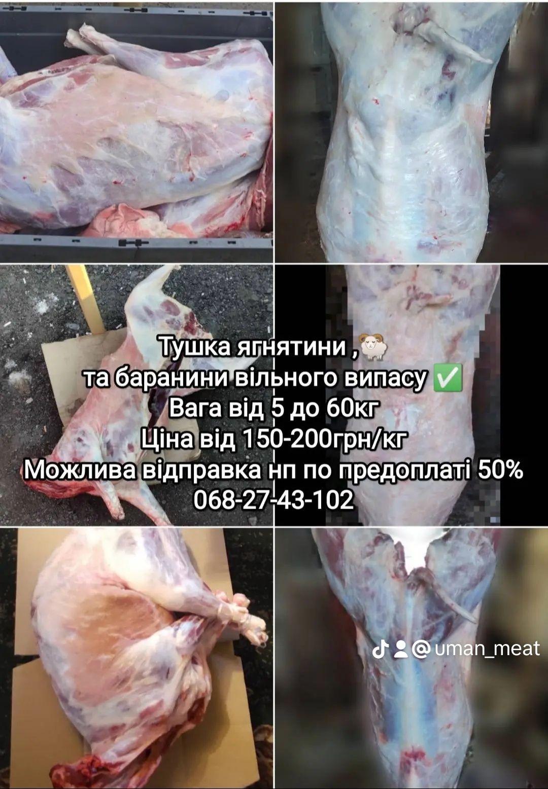 Тушка, свинини, баранини,ягнятини, курятини, телятина.козлятини.