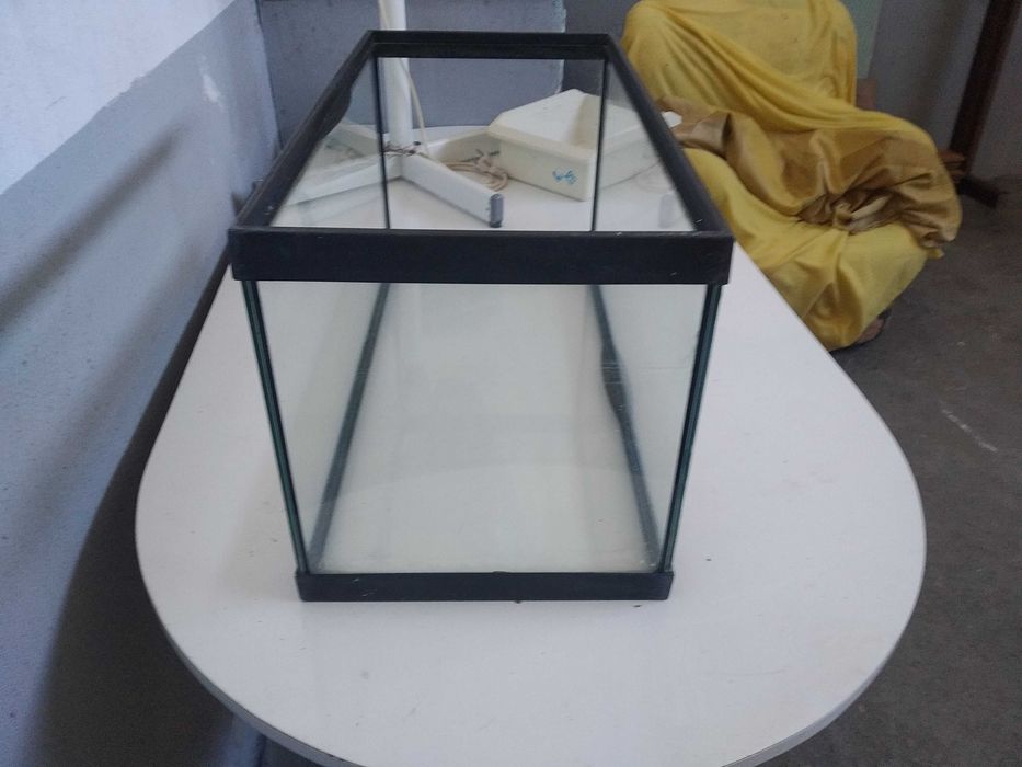 Aquário em bom estado