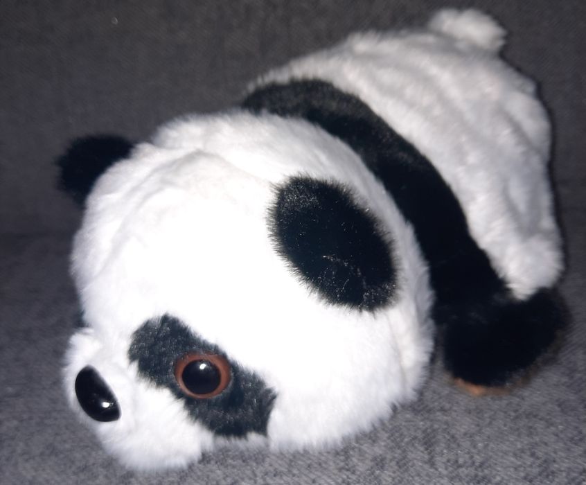 Pluszak kapibara & panda