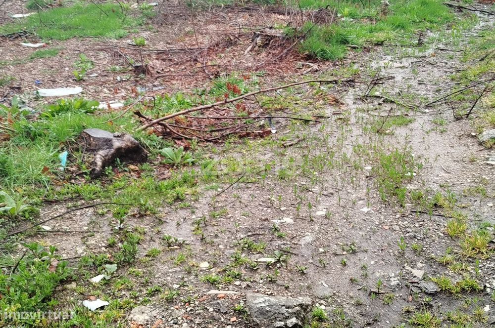 Terreno Urbanizável – O Local Perfeito para Construir a Sua Moradi...