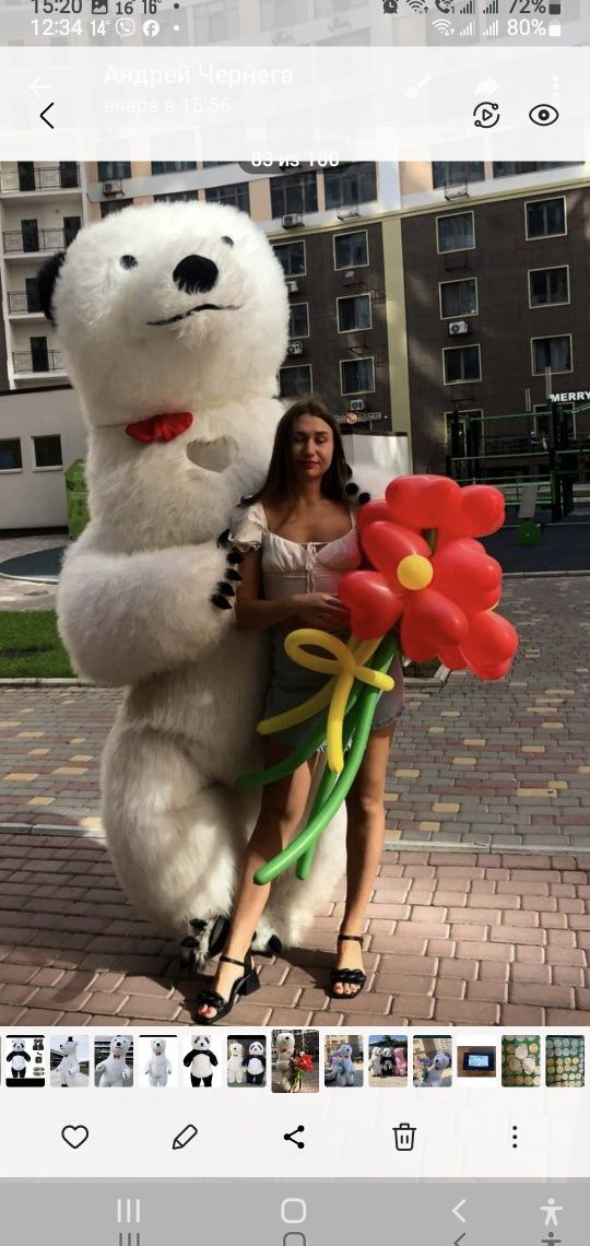 Мишка аниматор Черноморск