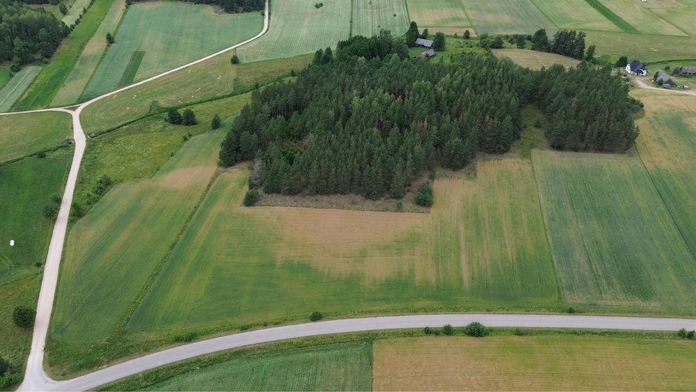 siedlisko nad rzeką