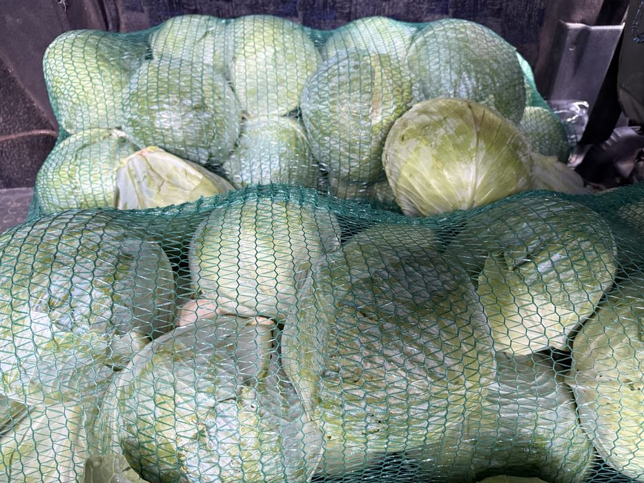 Продам капусту Оптом.