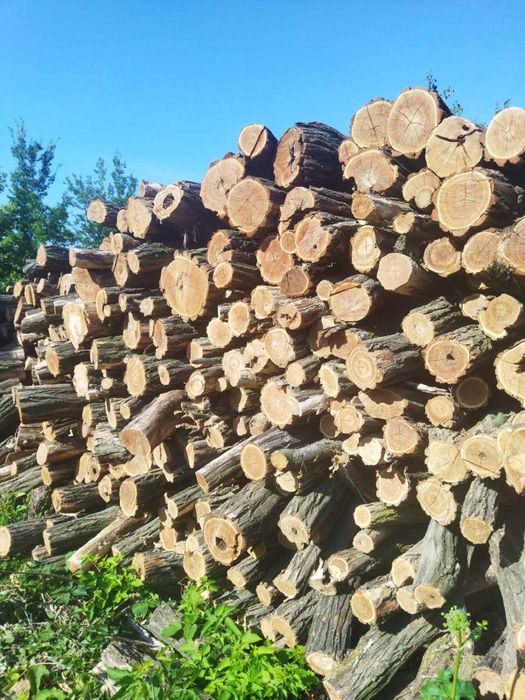 Дрова Акация, Дуб, Ясен