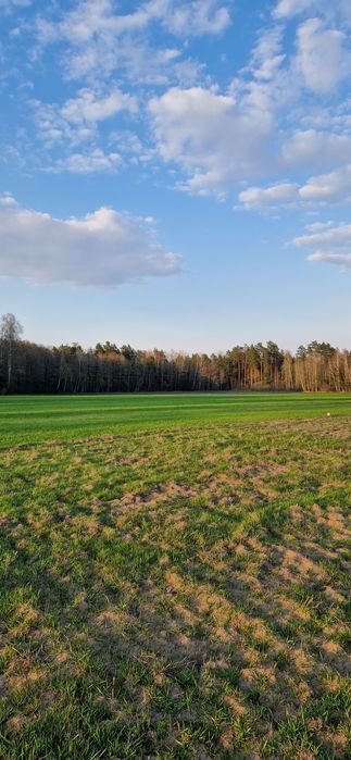 Sprzedam Działkę 1709m2 w Zwierkach