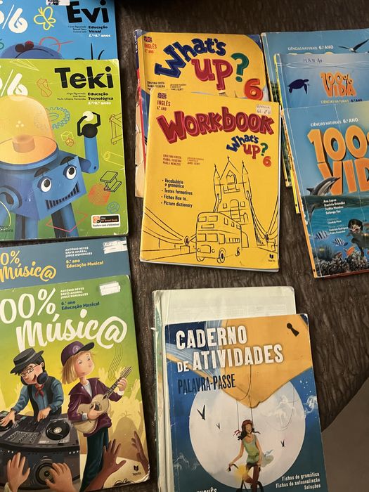 Vendo manuais e cadernos de atividade 6 ano