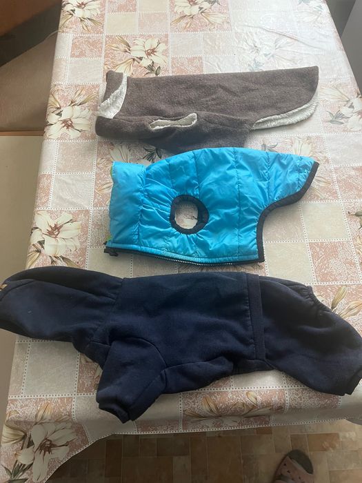 Одежда для маленькой собачки