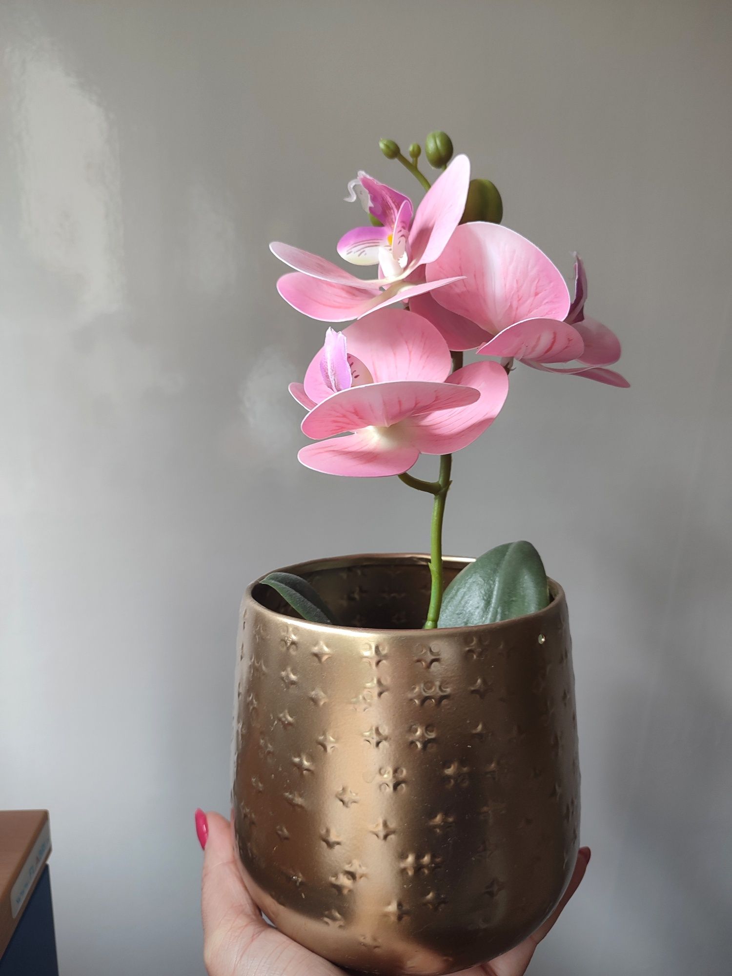 Storczyk sztyczny kwiat nowy 32cm doniczka