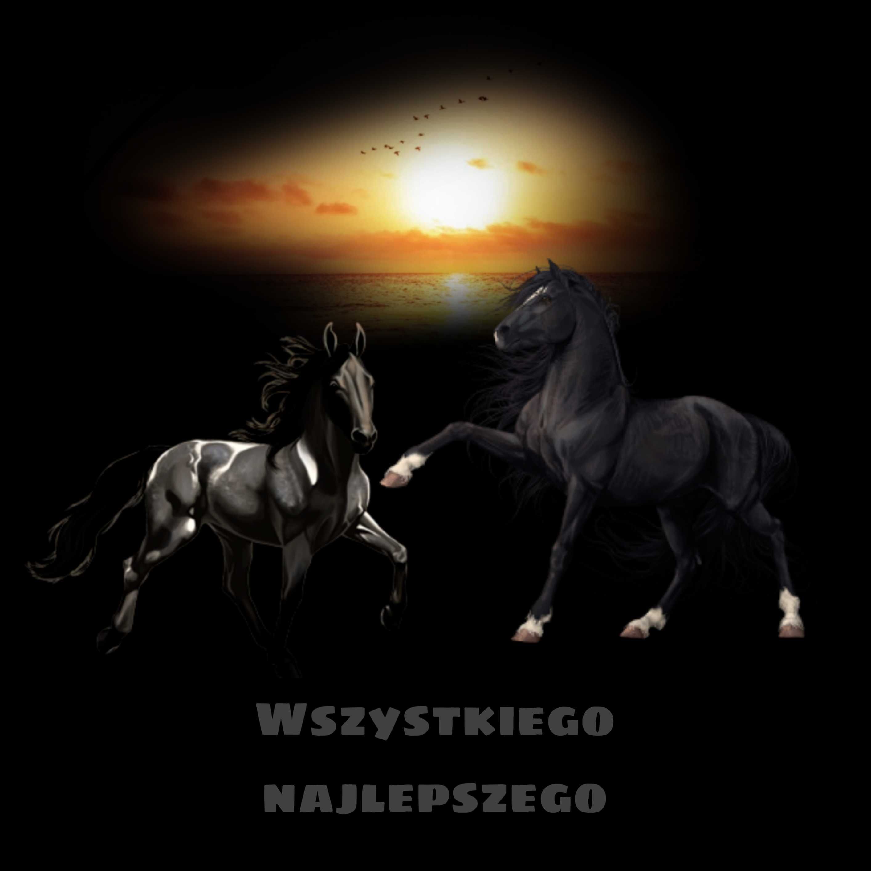Opłatek na tort Urodziny Koń Konik Mustang