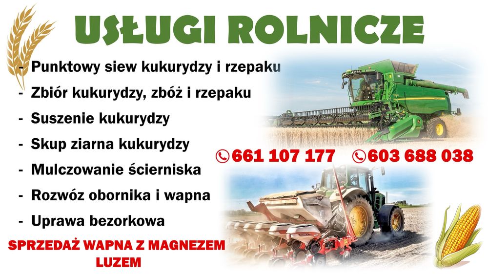 Usługi Rolne, Koszenie Zbóż Rzepaku, Wapno, Uprawa Bezorkowa, Sianie