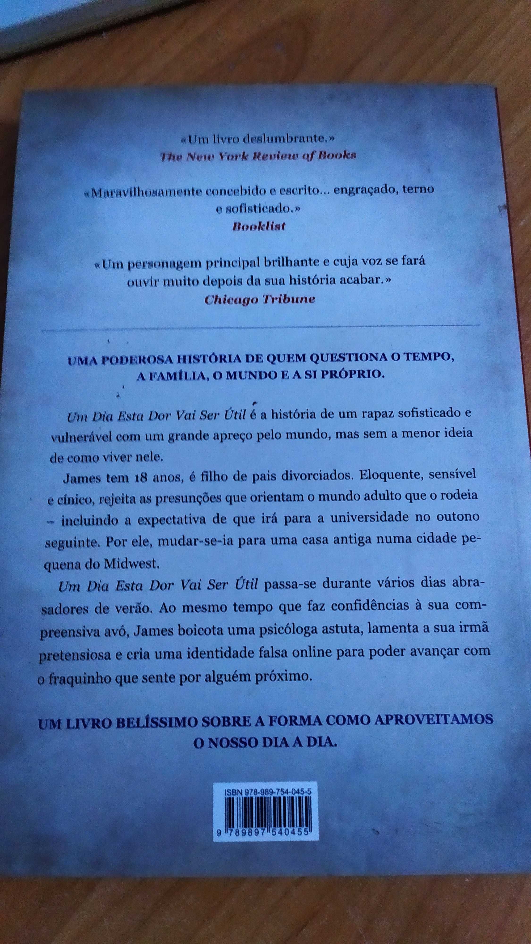 Um dia esta dor vai ser útil de Peter Cameron