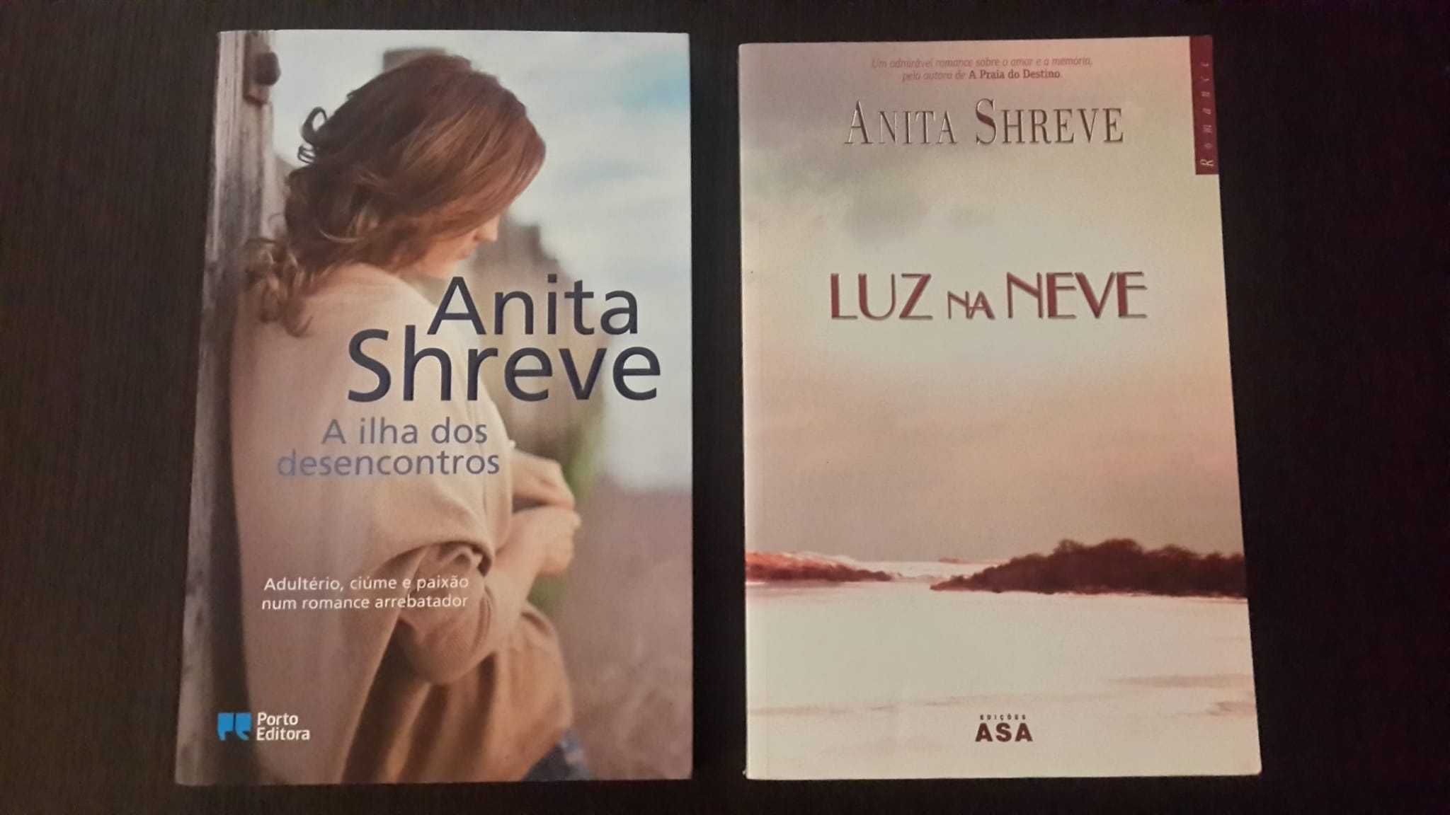 A ilha dos desencontros _ Luz na neve -  Anita Shreve