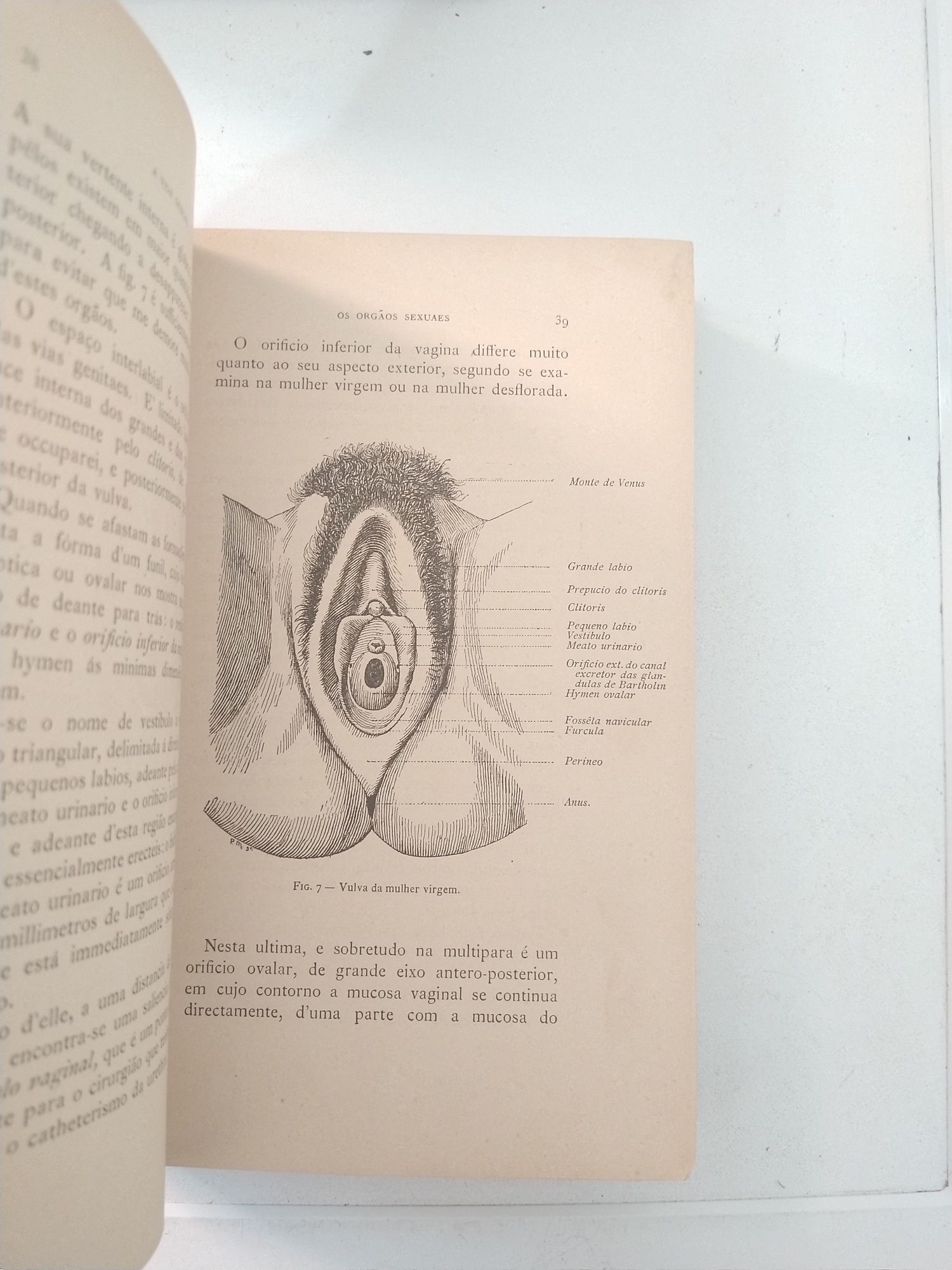 Livro A Vida sexual Physiologia l