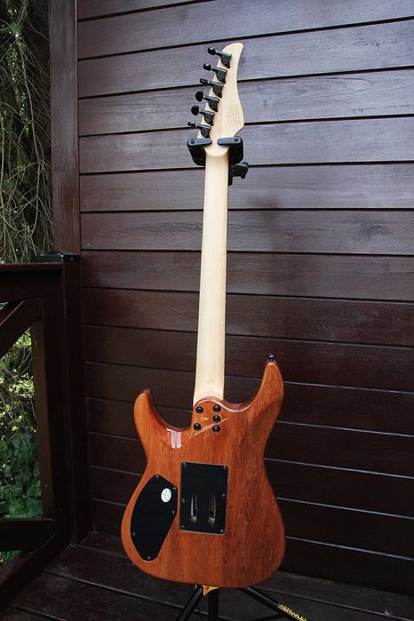 Schecter C-6 Pro FR CB
