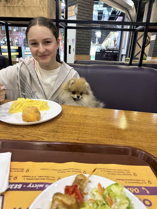 В'язка шпіц vip якість