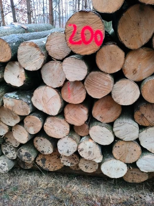 Drewno Opałowe i kominkowe