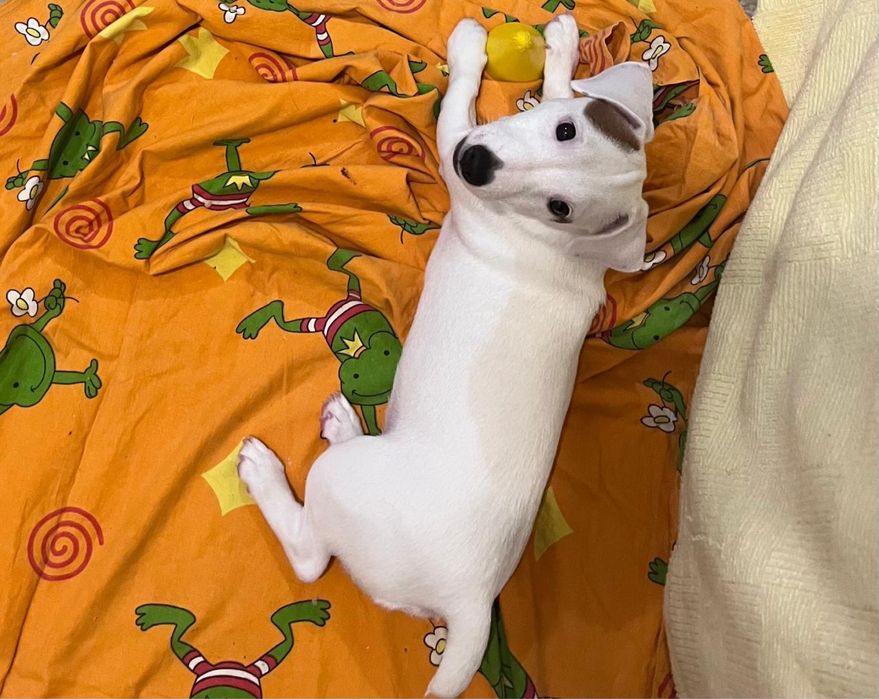 Девочка ищет маму