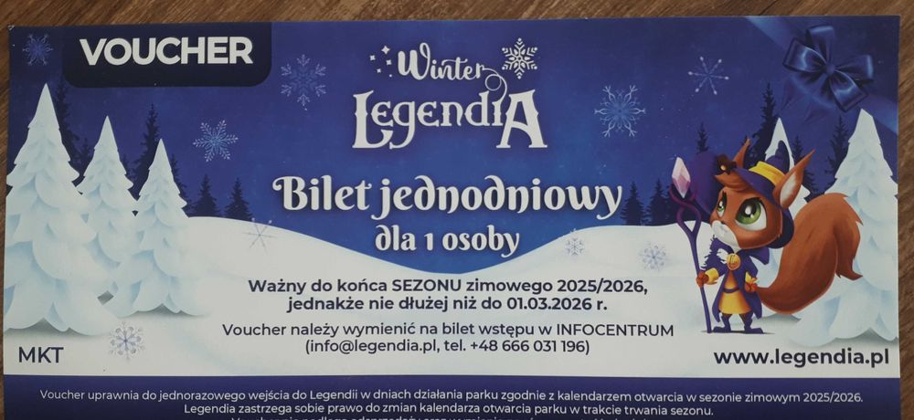 Bilet cały jednodniowy do Winter Legendia Chorzów
