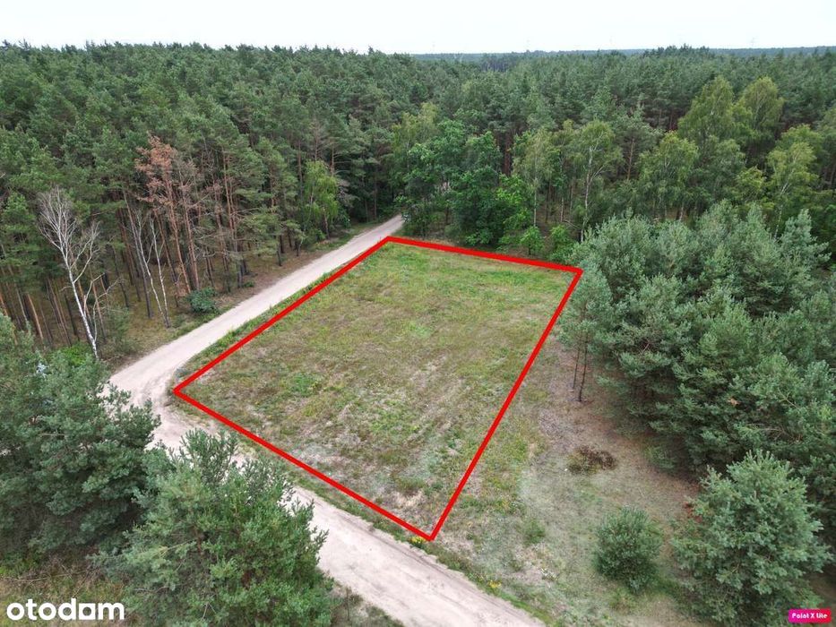 Na sprzedaż działka 1504 m² Niwy, ul. Podhalańska, w otulinie lasu