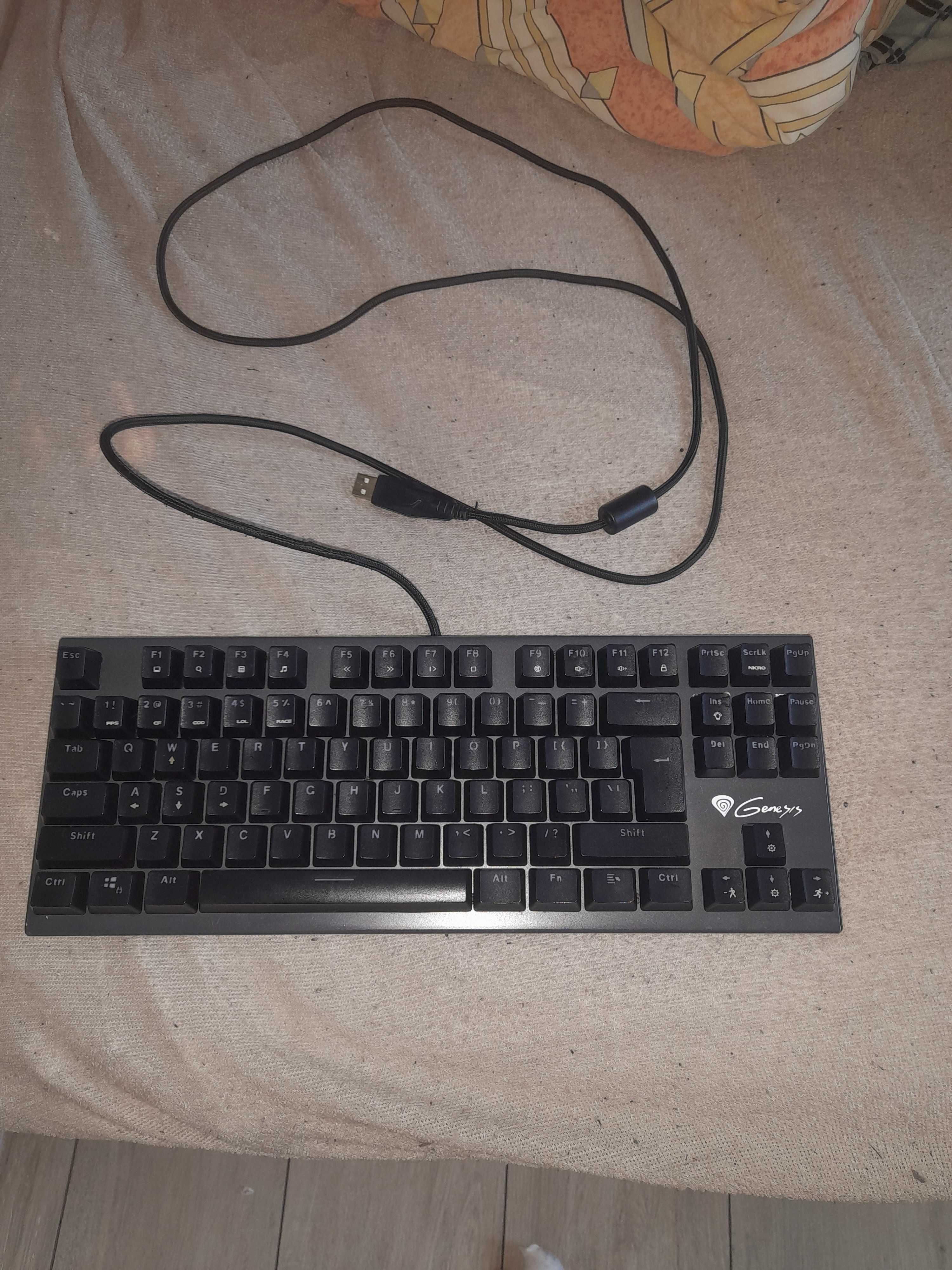 Klawiatura genesis 300 tkl