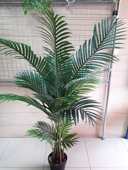 Sztuczna palma w doniczce
Cena 370 zł za sztukę. 

Palma ma