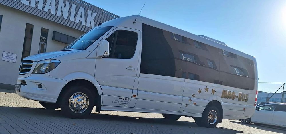 Mercedes-Benz Sprinter 519