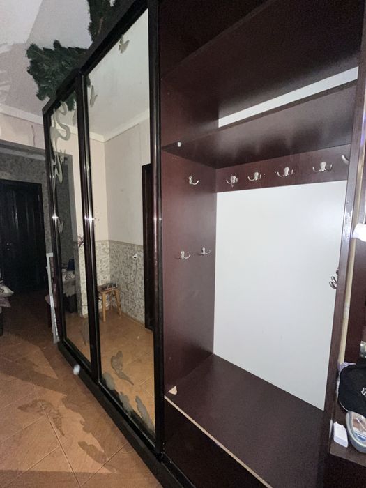 Шафа-купе з дзеркалами і малюнком