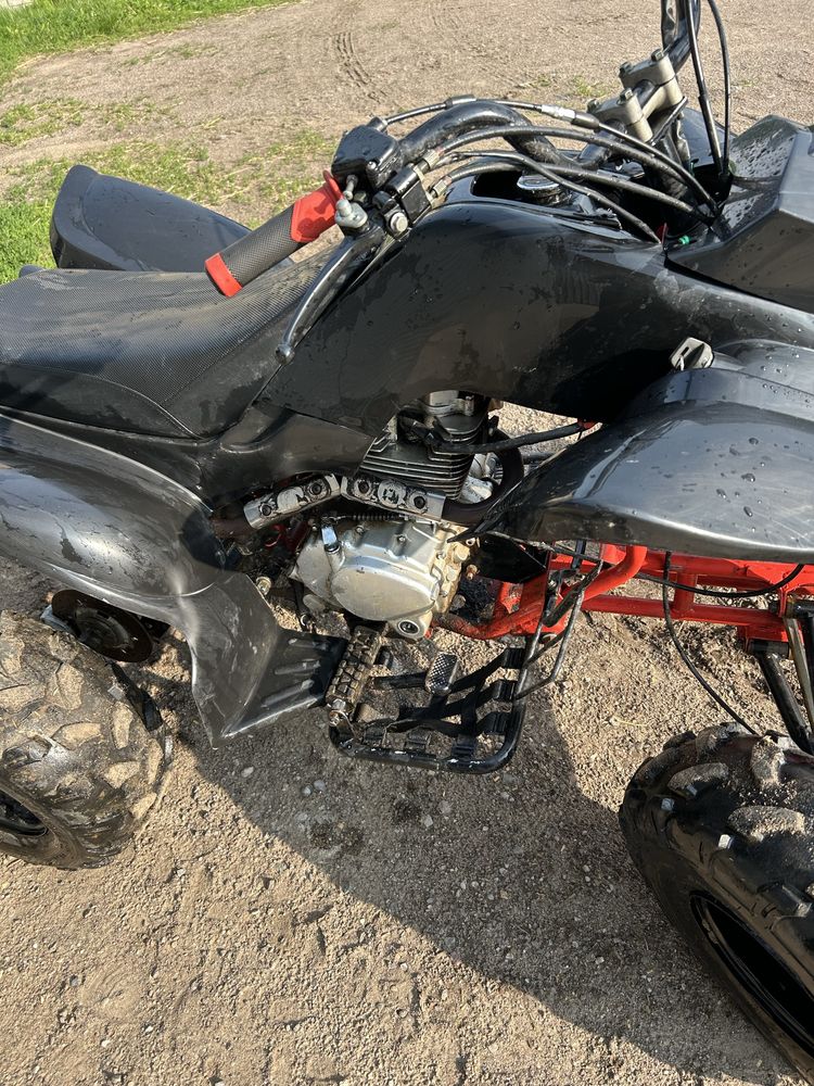 Quad bashan  250