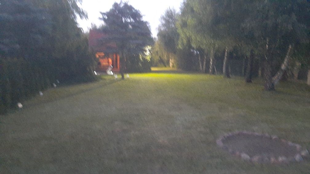 Zwolnił się termin 19-26 lipiec, pierwsza linia,pomost,łódka