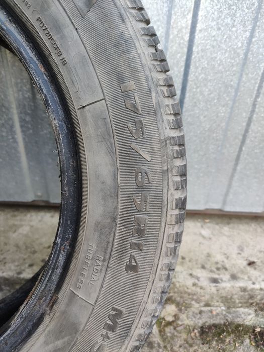 Opony zima 14" Dębica Frigo
