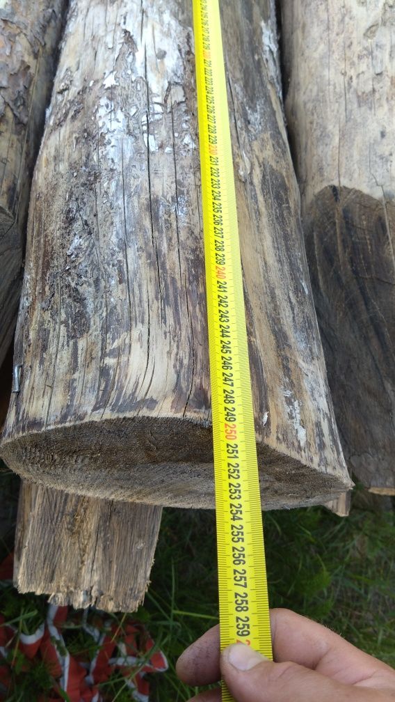 grube stemple pale bale klody 250 cm ogrodzenie ranczo