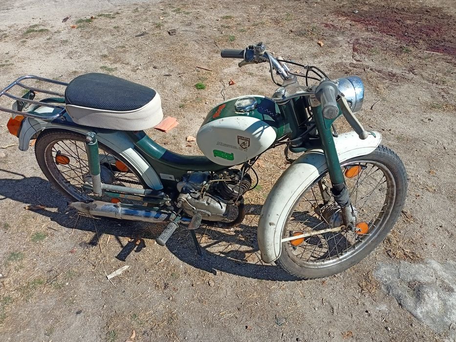 Sachs minor Gt...