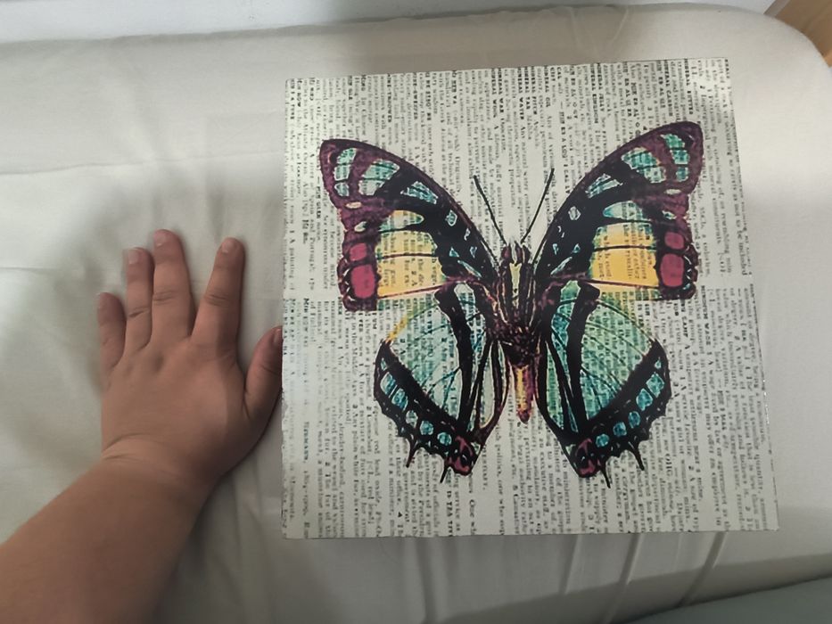 Caixa borboleta para arrumação ou decoração