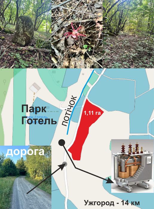 Продаж ділянки бідя лісу в с. Гута (1,11га.  До  Ужгорода 14км)
