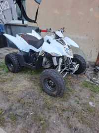 Quad Access Lucky Star 300 Super stan 2014r