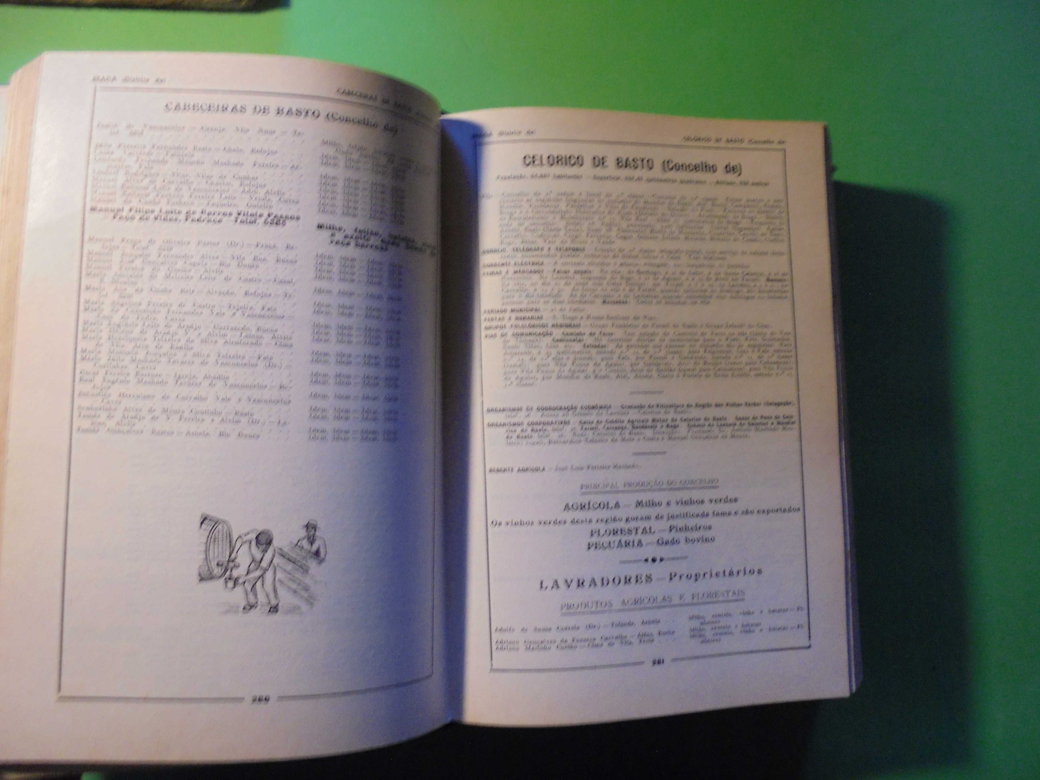 Indicador da Lavoura-Anuário Agrícola de Portugal,1962